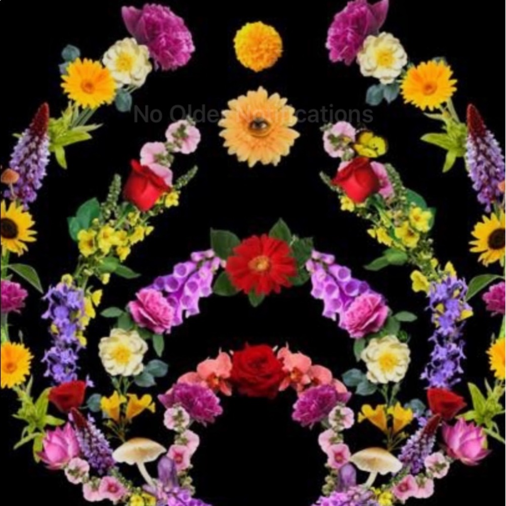 Meet your Posher, Leigh